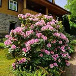 1910 Guest house 3*