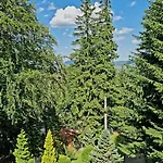 1910 Guest house 3*