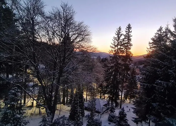 1910 Affittacamere 3*