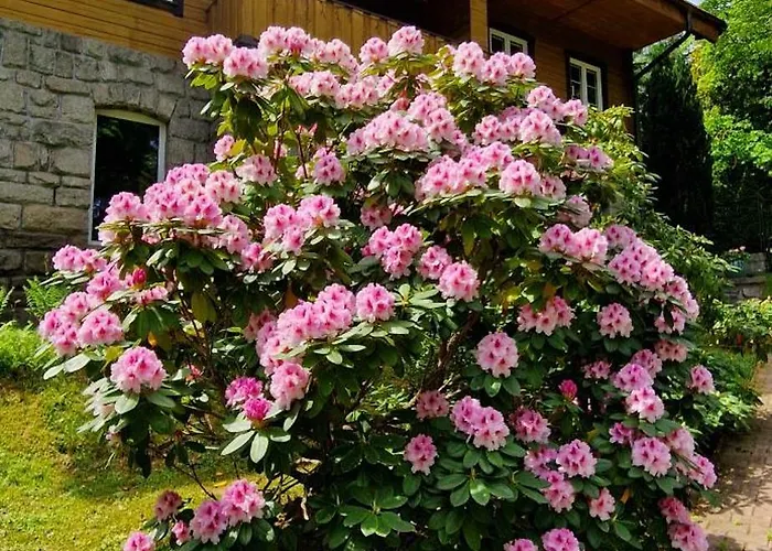 1910 Affittacamere 3*