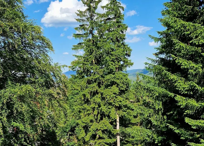 1910 Affittacamere Karpacz